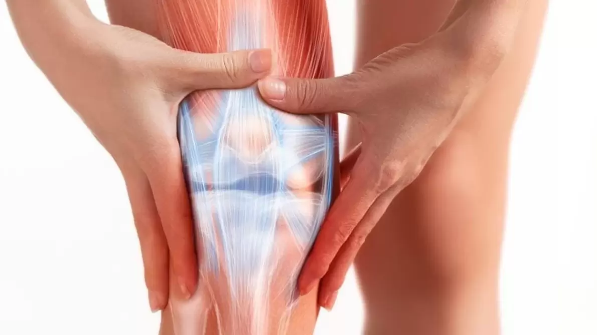 Osteflex gél sa aplikuje na oblasť postihnutého kĺbu trikrát denne